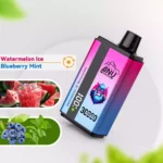 ANU 30000 Züge Doppelter Geschmack Einweg E-Zigarette Wassermelone Eis & Blaubeere Minze Geschmack 550mAh Akku Wiederaufladbar 0 % 2 % 3 % 5 % Niedriger Nikoting