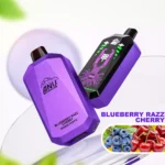 ANU Star 30000 Züge Einweg E-Zigarette Blaubeere Razz Kirsch Geschmack 650mAh Akku Wiederaufladbar 0% 2% 3% 5% Niedriger Nikotingehalt Beliebte Wahl für Dampfer Hersteller R (1)