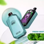 ANU Star 30000 Züge Einweg E-Zigarette Frische Minze Geschmack 650mAh Akku Wiederaufladbar 0 % 2 % 3 % 5 % Niedriger Nikotingehalt und 22 ml E-Liquid Bestseller für E-Zigaretten Ent