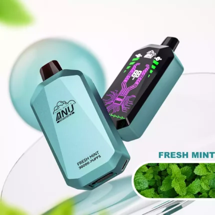 ANU Star 30000 Züge Einweg E-Zigarette Frische Minze Geschmack 650mAh Akku Wiederaufladbar 0 % 2 % 3 % 5 % Niedriger Nikotingehalt und 22 ml E-Liquid Bestseller für E-Zigaretten Ent