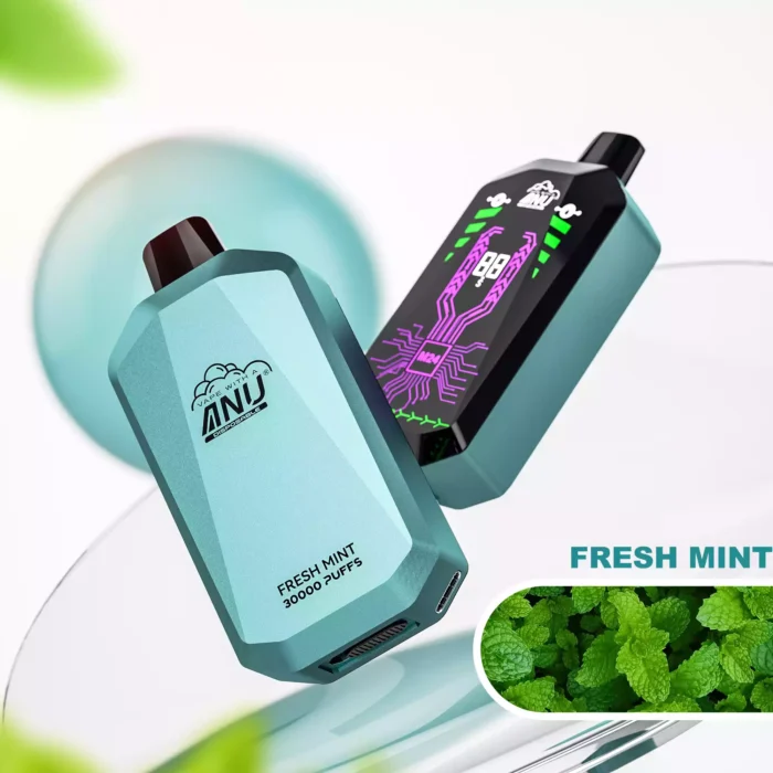 ANU Star 30000 Züge Einweg E-Zigarette Frische Minze Geschmack 650mAh Akku Wiederaufladbar 0 % 2 % 3 % 5 % Niedriger Nikotingehalt und 22 ml E-Liquid Bestseller für E-Zigaretten Ent