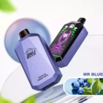 ANU Star 30000 Züge Einweg E-Zigarette Mr. Blau Geschmack 650mah Wiederaufladbar 0 % 2 % 3 % 5 % Niedriger Nikotingehalt und 22 ml E-Liquid Hersteller Retail für Dampfer (3)