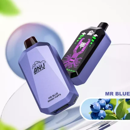 ANU Star 30000 Züge Einweg E-Zigarette Mr. Blau Geschmack 650mah Wiederaufladbar 0 % 2 % 3 % 5 % Niedriger Nikotingehalt und 22 ml E-Liquid Hersteller Retail für Dampfer (3)