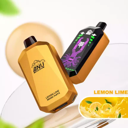 ANU Star 30000 Züge Einweg E-Zigarette Zitrone Limette Geschmack 650mAh Akku Wiederaufladbar 22ml E-Liquid Hot Vape für E-Zigaretten Liebhaber Hersteller Retail (2)