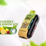 Beliebte Wahl ANU Vista 30000 Züge Einweg E-Zigarette Kirsche Zitrone Eis Geschmack 650 mAh Akku Wiederaufladbar 22 ml E-Liquid für Dampfer Fans Einzelhandel (2)