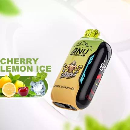 Beliebte Wahl ANU Vista 30000 Züge Einweg E-Zigarette Kirsche Zitrone Eis Geschmack 650 mAh Akku Wiederaufladbar 22 ml E-Liquid für Dampfer Fans Einzelhandel (2)