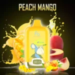 Beliebtes Produkt Randm Digital Box 12000 Züge Einweg E-Zigarette Pfirsich Mango Geschmack 550mah Batterie Wiederaufladbar 0% 2% 3% 5% Niedriger Nikotingehalt 20 ml E-Liquid M