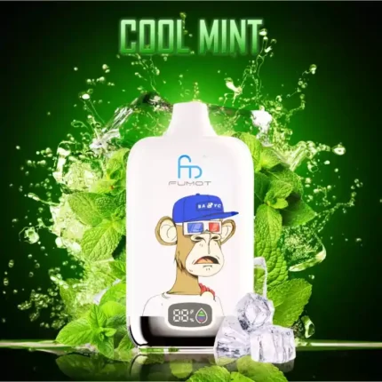 Bestseller Randm Digital Box 12000 Züge Einweg E-Zigarette Kühle Minze Geschmack 550mah Akku Wiederaufladbar 0% 2% 3% 5% Niedriger Nikotingehalt und 20 ml E-Liquid Mesh Coil 0.8