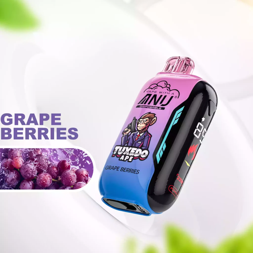 Frisch Eingetroffen ANU Vista 30000 Züge Einweg E-Zigarette Trauben Beeren Geschmack 650 mAh Akku Wiederaufladbar 22 ml E-Liquid für Vape-Liebhaber Einzelhandel (1)