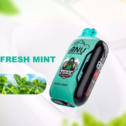Heißer Verkauf ANU Vista 30000 Züge Einweg E-Zigarette Frische Minze Geschmack 650 mAh Wiederaufladbar 22 ml E-Liquid für Vape-Enthusiasten Einzelhandel (2)