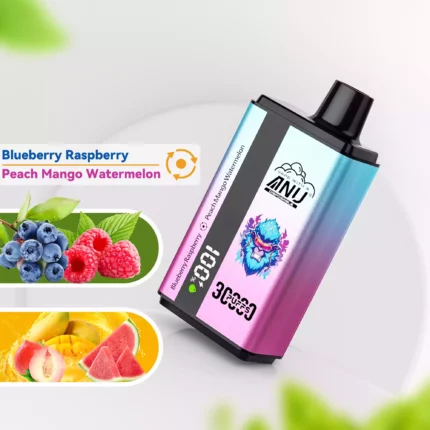 Hot Sale ANU 30000 Züge Doppelter Geschmack Einweg E-Zigarette Blaubeere Himbeere und Pfirsich Mango Wassermelone Geschmack 550m (1)