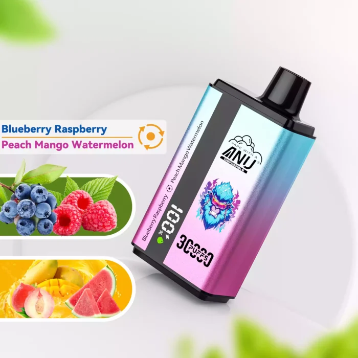 Hot Sale ANU 30000 Züge Doppelter Geschmack Einweg E-Zigarette Blaubeere Himbeere und Pfirsich Mango Wassermelone Geschmack 550m (1)