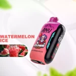 Neuerscheinung ANU Vista 30000 Züge Einweg E-Zigarette Wassermelone Eis Geschmack 650 mAh Wiederaufladbar 22 ml E-Liquid für Vape Enthusiasten Einzelhandel (1)
