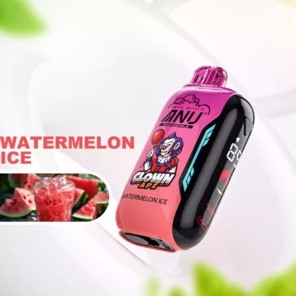 Neuerscheinung ANU Vista 30000 Züge Einweg E-Zigarette Wassermelone Eis Geschmack 650 mAh Wiederaufladbar 22 ml E-Liquid für Vape Enthusiasten Einzelhandel (1)