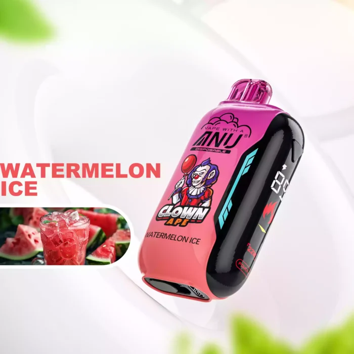 Neuerscheinung ANU Vista 30000 Züge Einweg E-Zigarette Wassermelone Eis Geschmack 650 mAh Wiederaufladbar 22 ml E-Liquid für Vape Enthusiasten Einzelhandel (1)