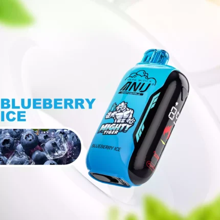 Neueste ANU Vista 30000 Züge Einweg E-Zigarette Blaubeere Eis Geschmack mit 650mAh Akku Wiederaufladbar Niedriger Nikotingehalt für Dampfer Hersteller Retail (1)