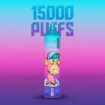 Neueste RandM Tornado 15000 Züge Einweg E-Zigarette Blaubeere Himbeere Geschmack 850 mAh Wiederaufladbar Akku 0% 2% 3% 5% Niedriger Nikotingehalt 25 ml E-Liquid RGB-Design für Dampfer Hersteller Einzelhandel 1