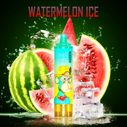 Neueste RandM Tornado 15000 Züge Einweg E-Zigarette Wassermelone Eis Geschmack 25 ml E-Liquid 850 mAh Akku 2025 Hot Vape Hersteller Retail für Vape Fans (2)