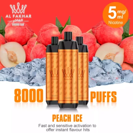 Hot Sale AL FAKHAR 15000 Züge F18S Einweg E-Zigarette Pfirsich Eis Geschmack mit 600 mAh Akku 5 mgml Nikotin 22 ml E-Liquid Typ-C Ladeanschluss 0.6 Mesh Kern Lungeninhalation f (6)