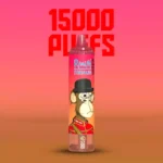 Hot Sale RandM Tornado 15000 Züge Einweg E-Zigarette Rote Energie Eis Geschmack 850 mAh Akku 25 ml E-Liquid Mesh Coil RGB-Design Hersteller Retail (1)