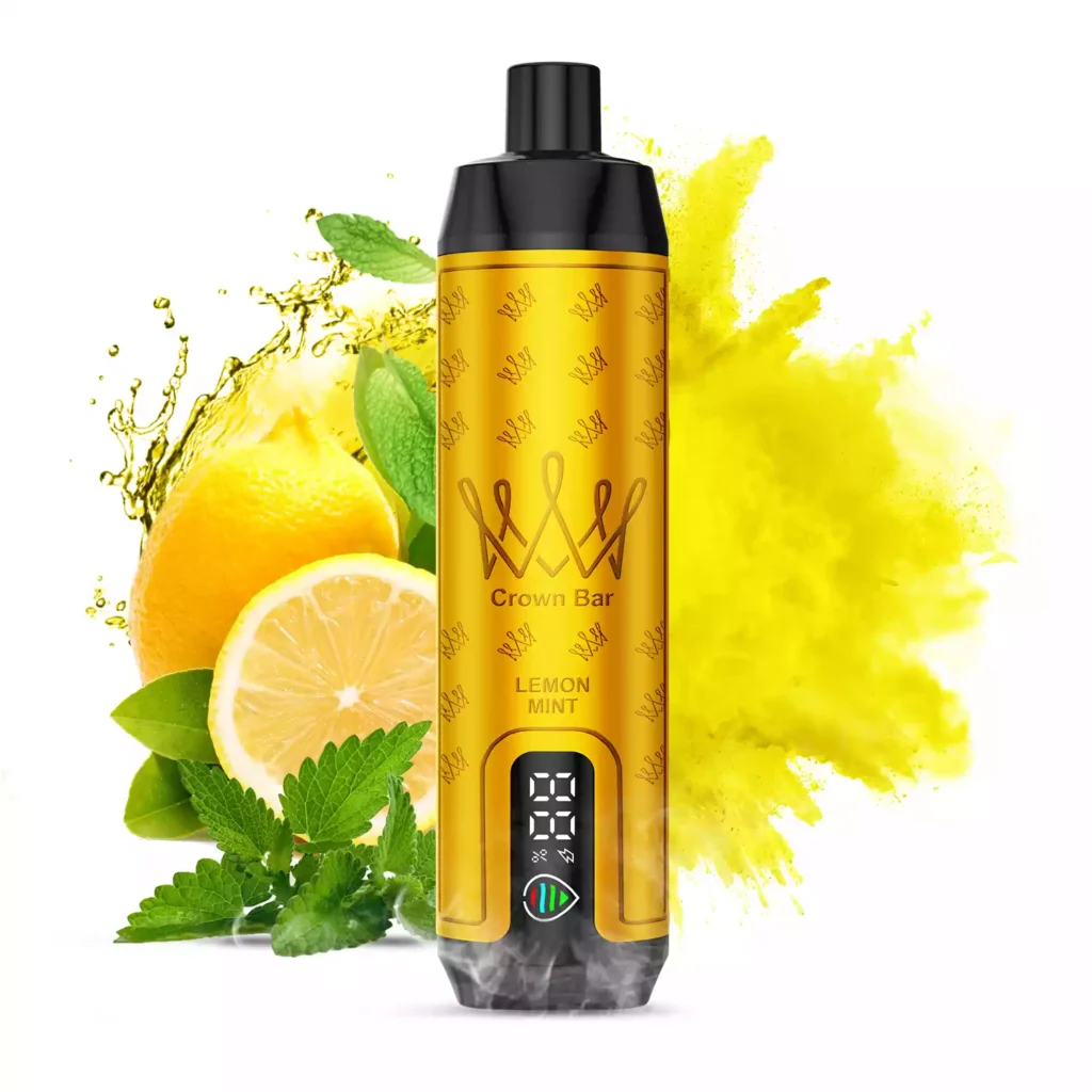 Neue Kollektion AL FAKHAR 15000 Züge F18S Einweg E-Zigarette Zitrone Minze Geschmack mit 600 mAh Akku 5 mgml Nikotin 22 ml E-Liquid Typ-C Ladeanschluss 0.6 Mesh Kern Lungeninhala