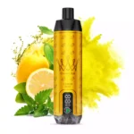 Neue Kollektion AL FAKHAR 15000 Züge F18S Einweg E-Zigarette Zitrone Minze Geschmack mit 600 mAh Akku 5 mgml Nikotin 22 ml E-Liquid Typ-C Ladeanschluss 0.6 Mesh Kern Lungeninhala