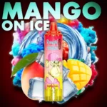 Top Neuheit RandM Tornado 15000 Züge Einweg E-Zigarette Mango auf Eis Geschmack Mit RGB-Design und Mesh Coil 850 mAh Akku 25 ml E-Liquid 2025 Hot Vape Europäisches Lager Schnelle (4)